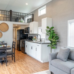living room and kitchen with furniture and a plant