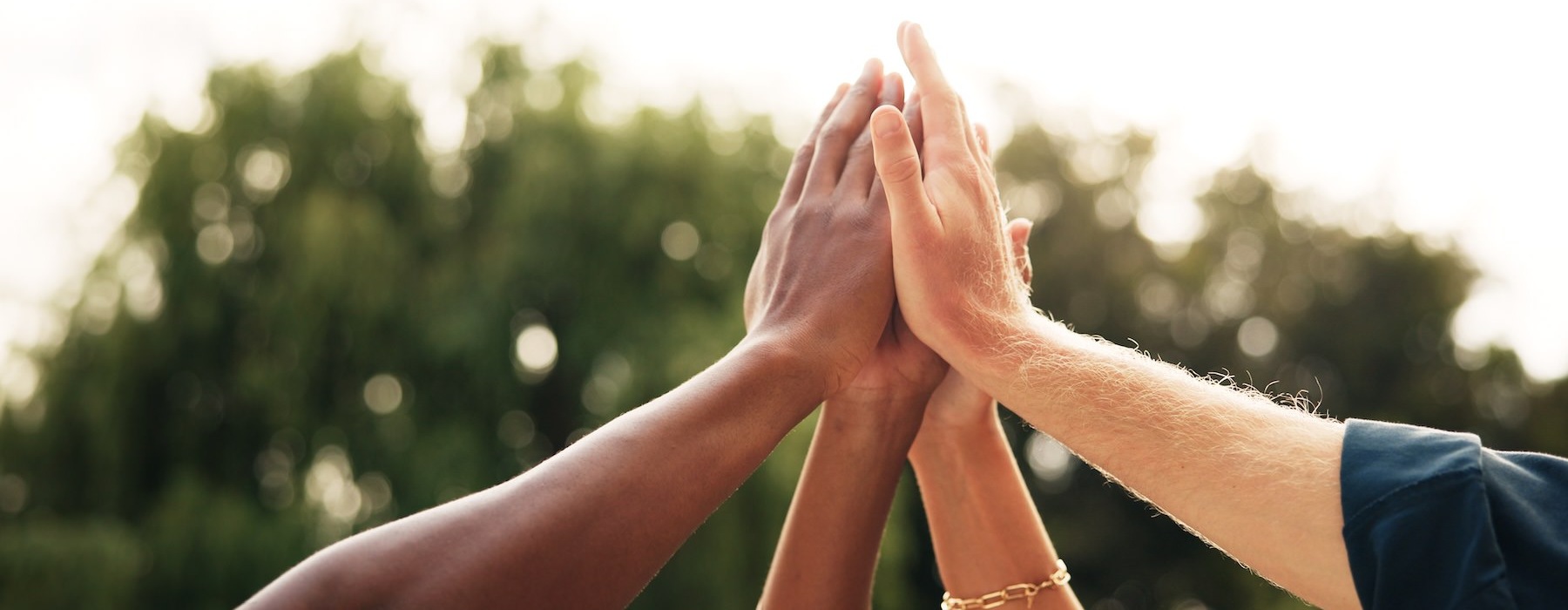 a group of hands together